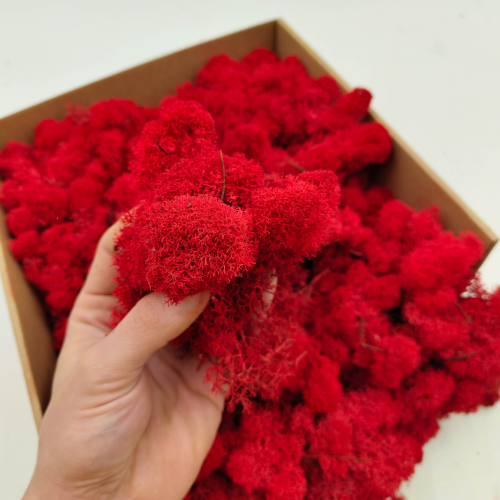 Czerwony zblizen.png