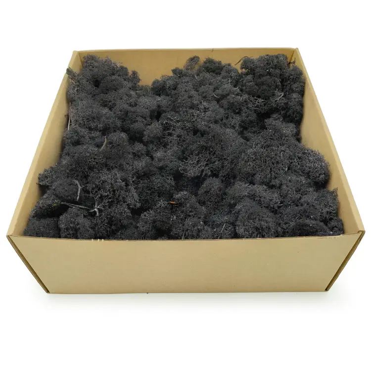 Czarny zblizenie 1.png