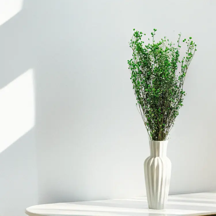 Gipsówka Zielona 1.png