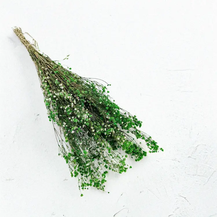 Gipsówka Zielona 4.png