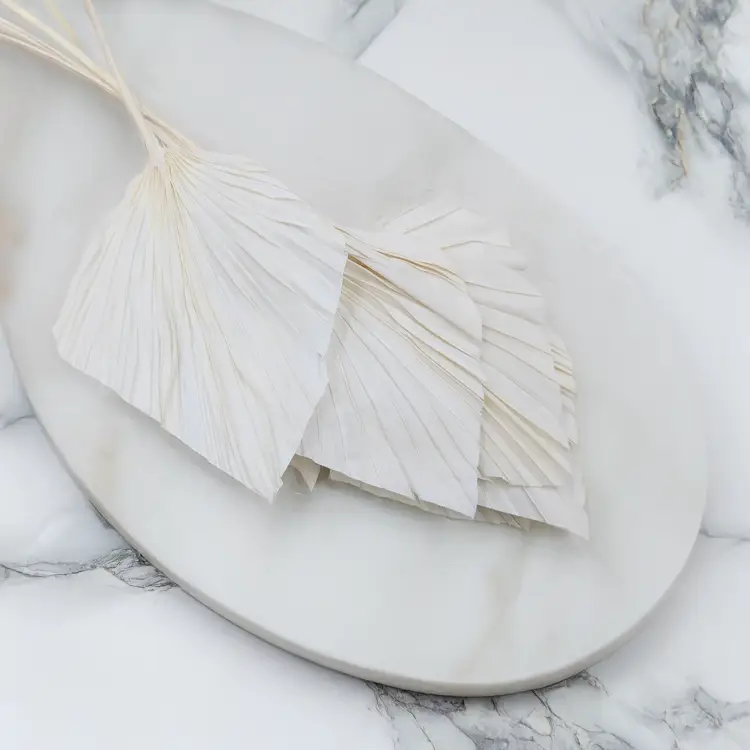 Palm spear Bielony 1.png