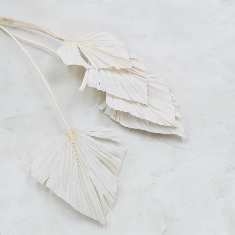 Palm spear Bielony 3.png