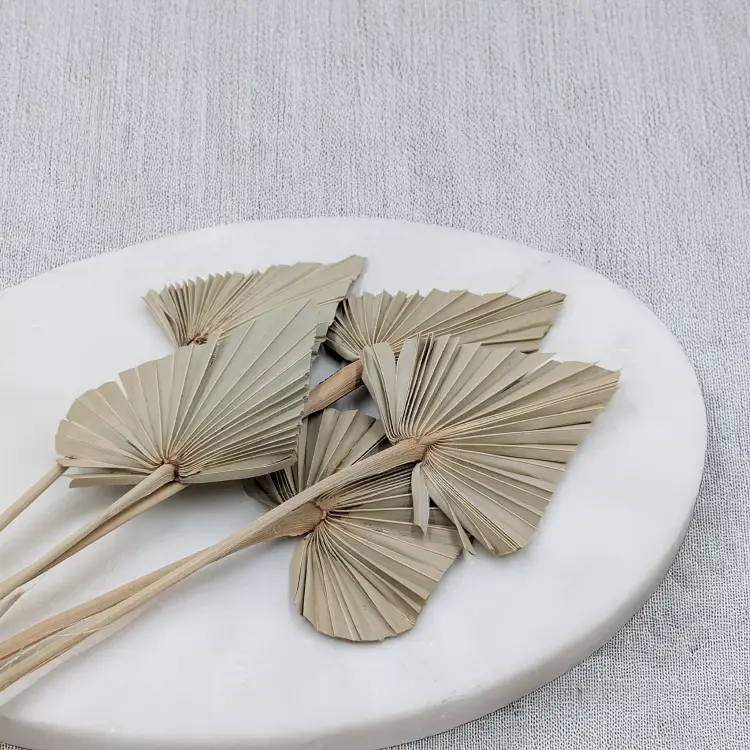 Palm spear Naturalny.png