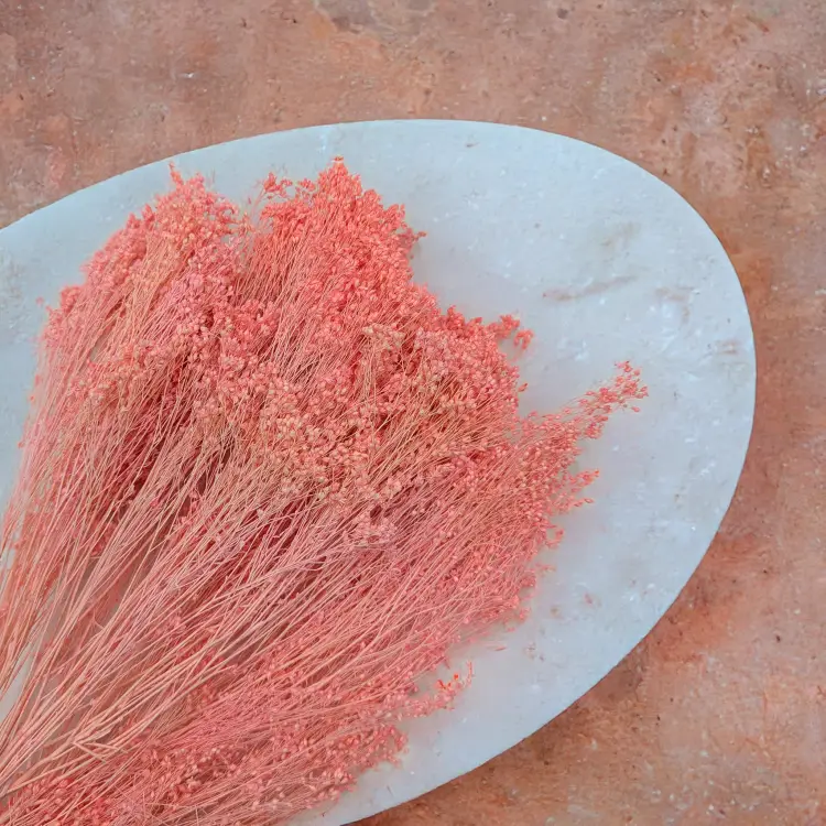 Broom Bloom Łosoś 2.png