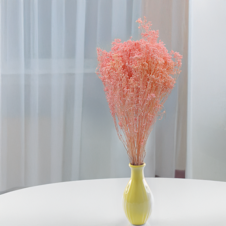 Broom Bloom perłowy róż 4.png