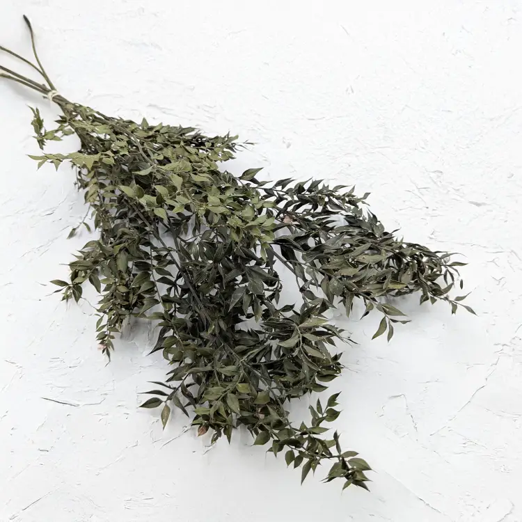 Ruskus suszony naturalny 100g.png