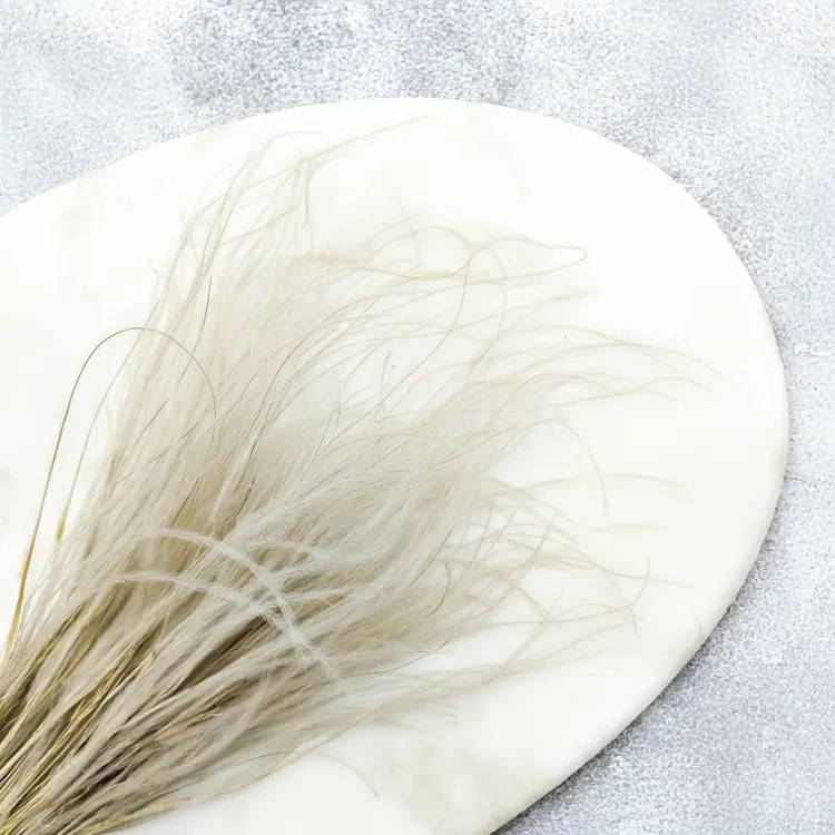 Stipa naturalna 2.png