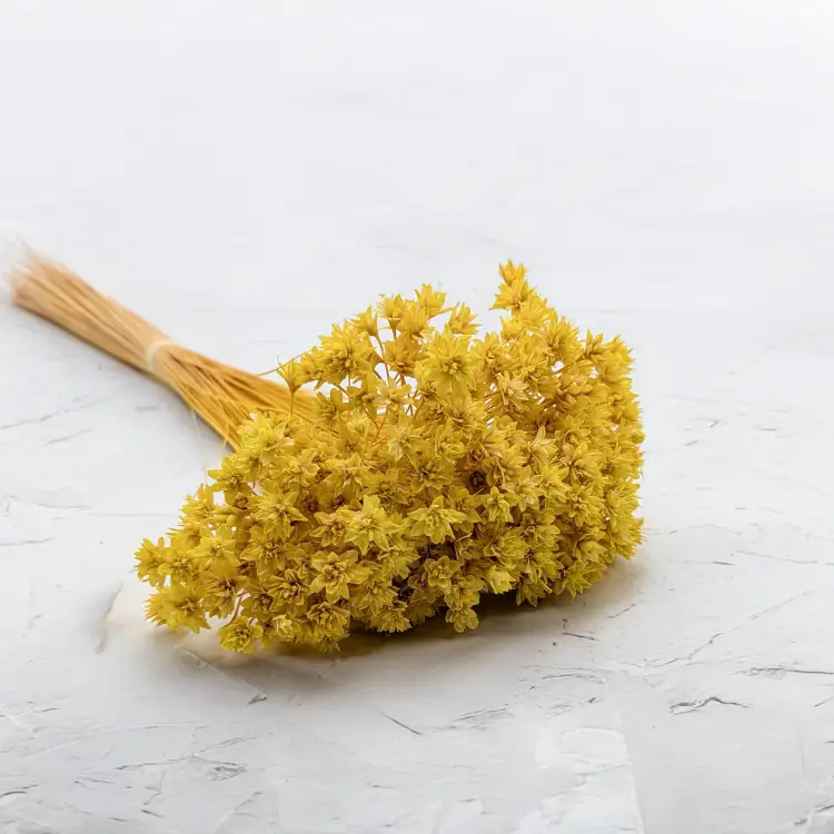 Hill Flower żółty.png