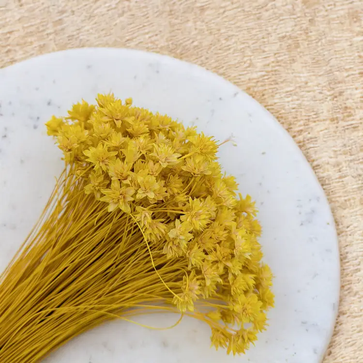 Hill Flower żółty 2.png