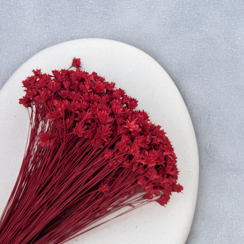 Hill Flower czerwony 2.png