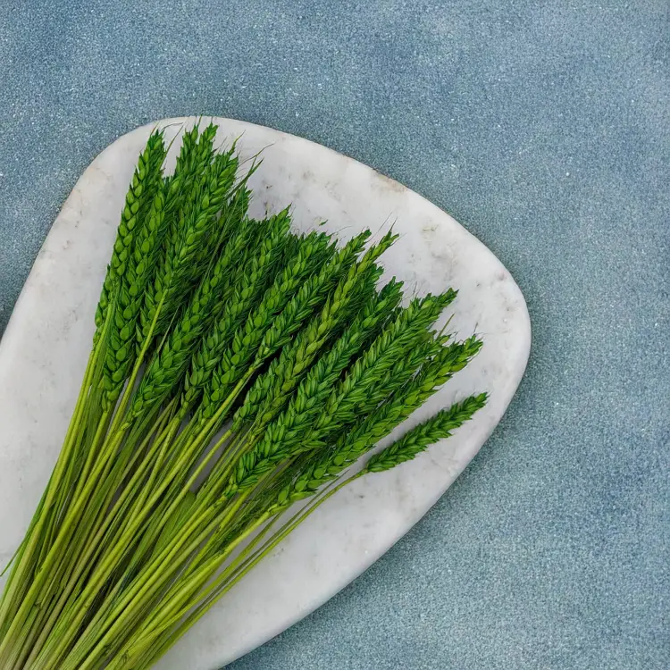 Pszenica butelkowa zieleń 2.png