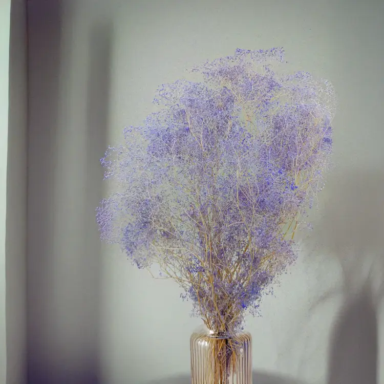 Gipsówka stabilizowana mini Lawenda 3.png