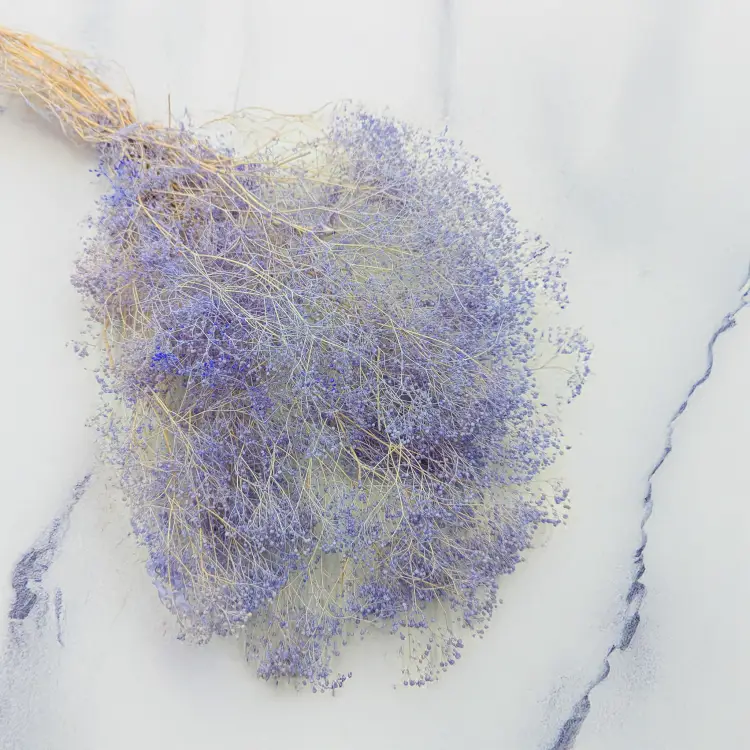 Gipsówka stabilizowana mini Lawenda 1.png