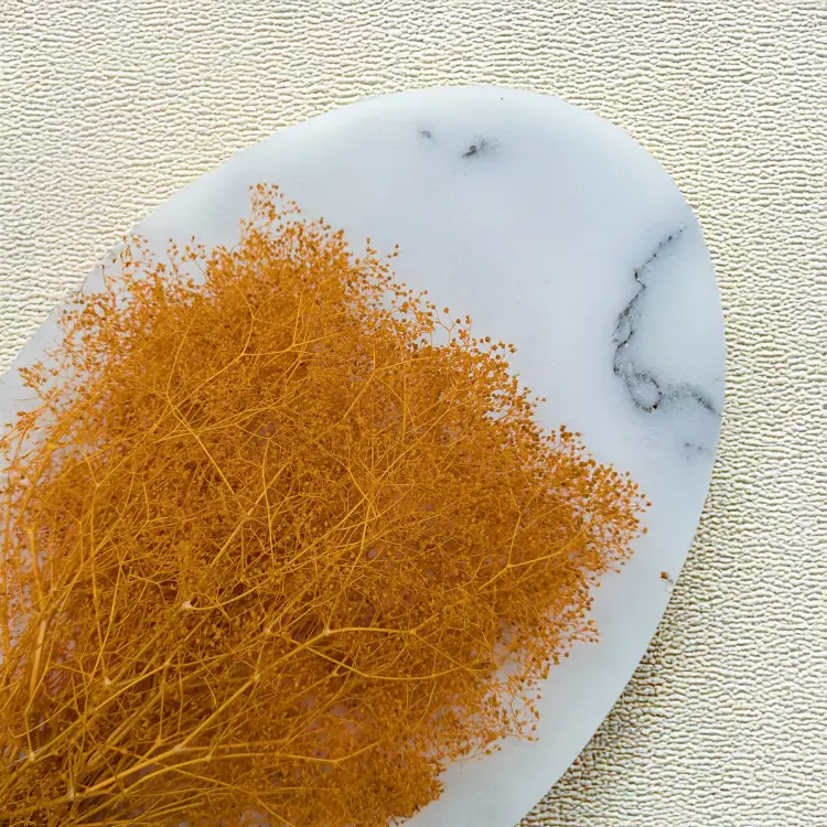 Gipsówka stabilizowana mini Ochra 2.png