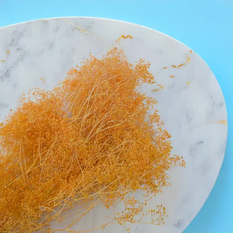 Gipsówka stabilizowana mini Brzoskwinia 2.png