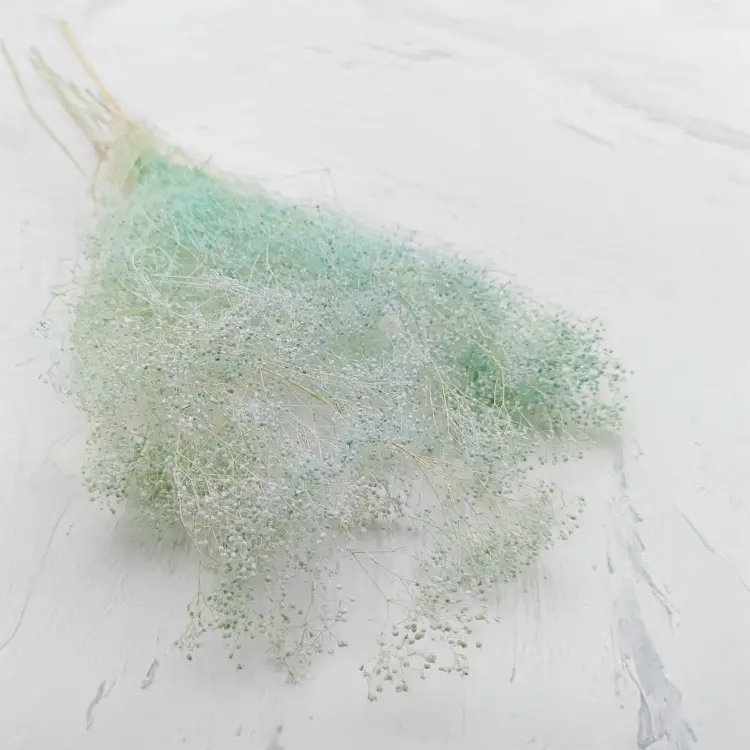 Gipsówka stabilizowana mini Miętowa.png