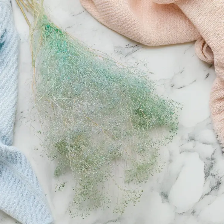 Gipsówka stabilizowana mini Miętowa 1.png