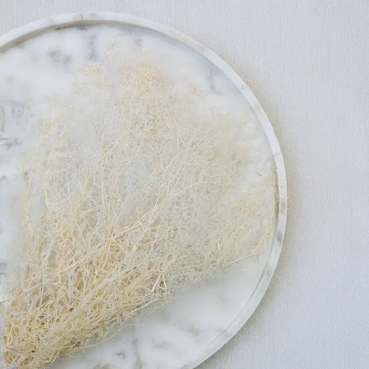 Gipsówka stabilizowana mini Bielona 4.png