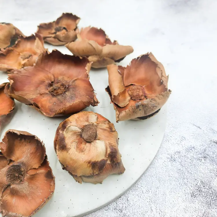 Palm Cup Natural paczka 1.png