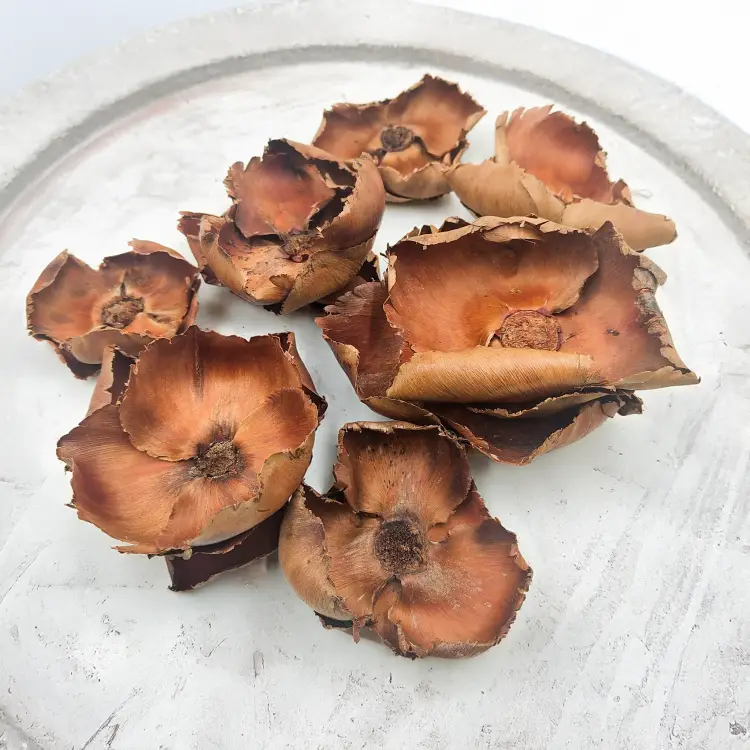 Palm Cup Natural paczka 3.png