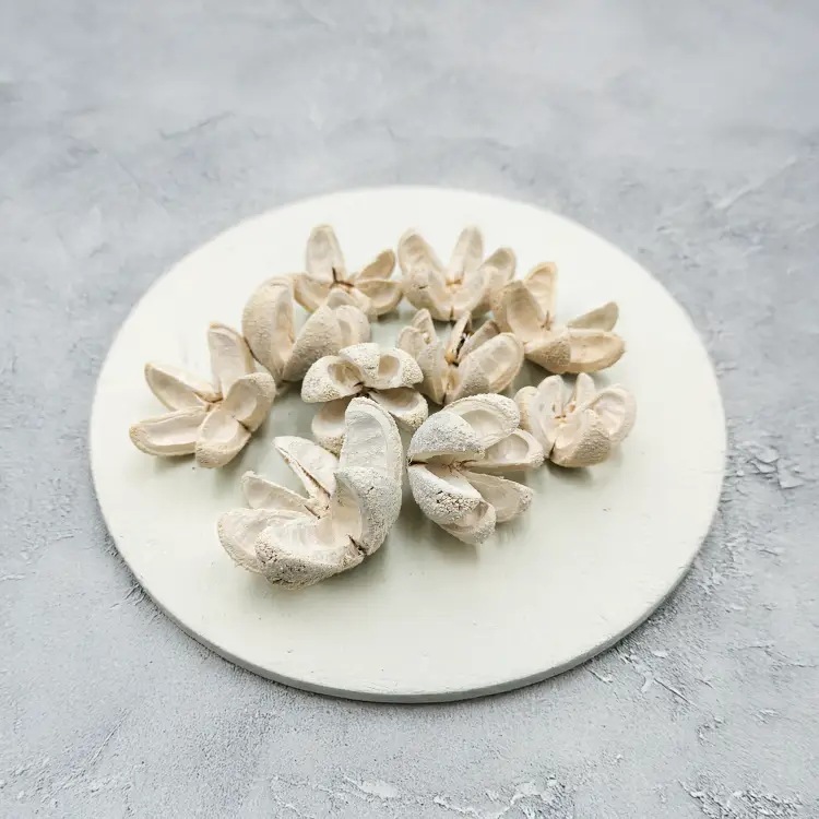 Wild Orange Bielone 10pcs.png