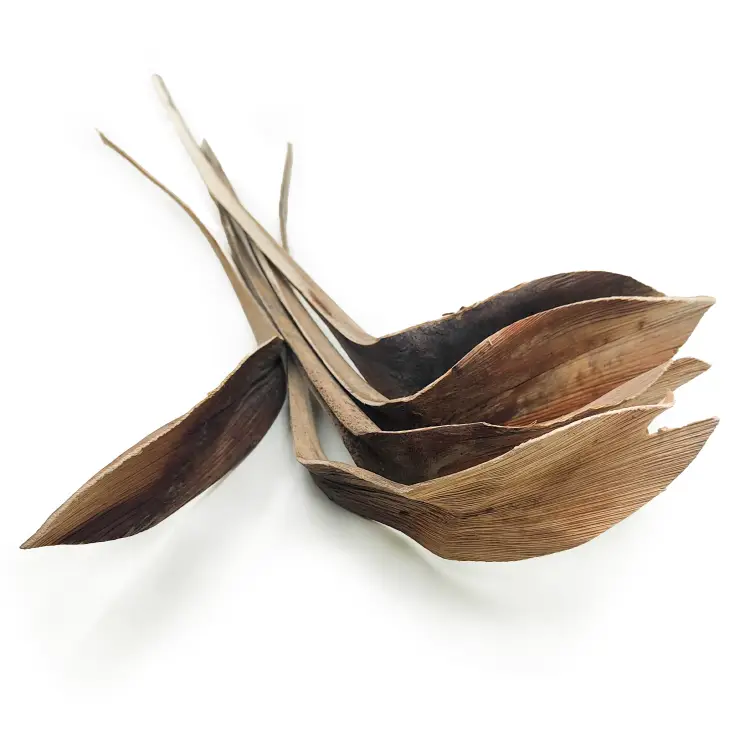 Shoe Horn Natural Dried.png