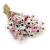 Suchołuska suszona Acroclinium MIX.png