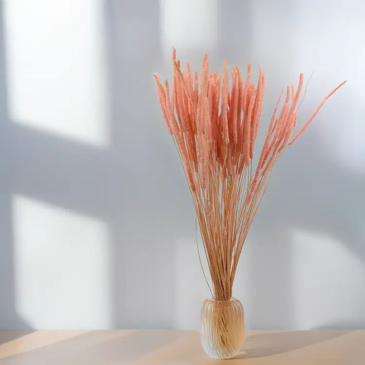 Tymotka - perłowy różowy 3.png