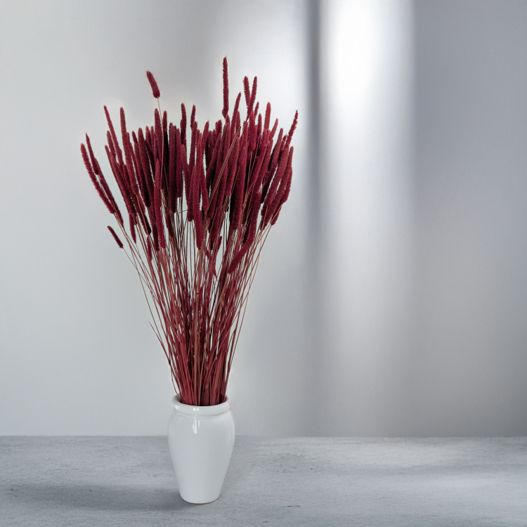 Tymotka - bordowa 4.png