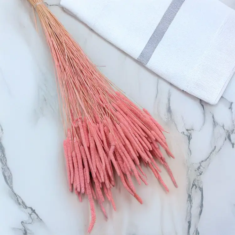 Tymotka - różowa 1.png