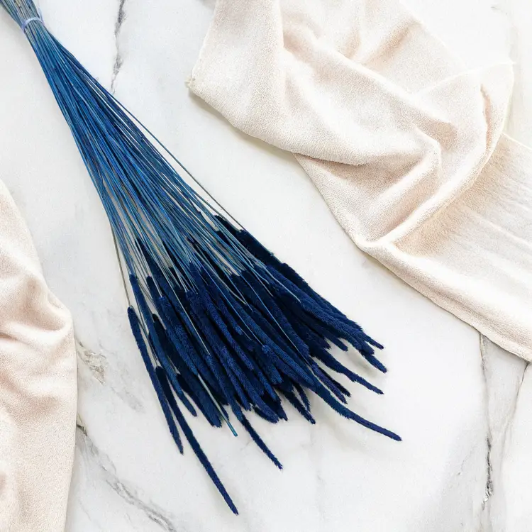 Tymotka - niebieska 1.png