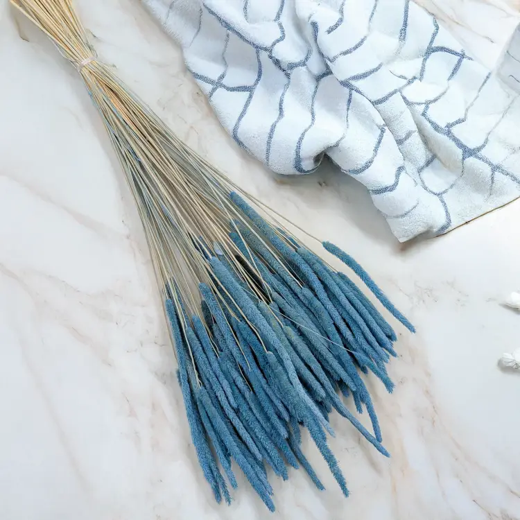 Tymotka - błękitna 1.png