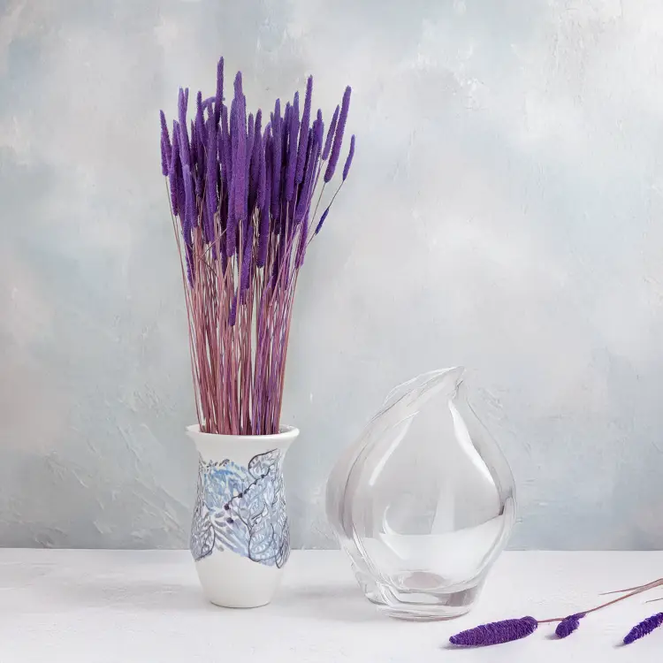 Tymotka - lila 4.png