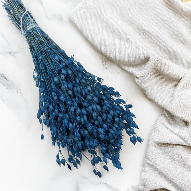 Silene niebieskie 1.png