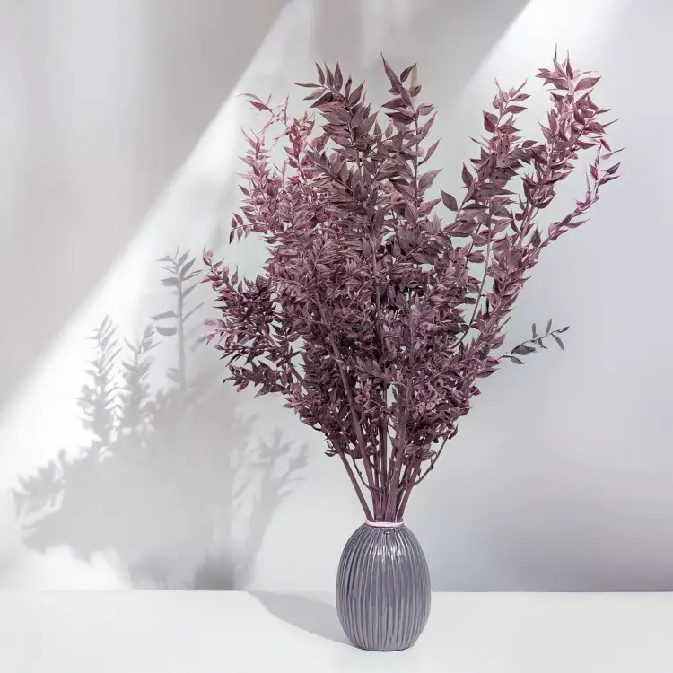 Ruskus bielony fioletowy 4.png