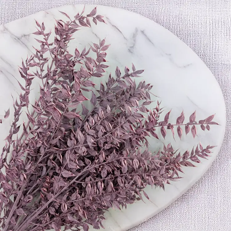 Ruskus bielony fioletowy 2.png