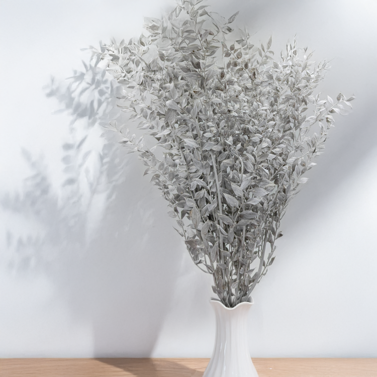 Ruskus bielony matowy 3.png