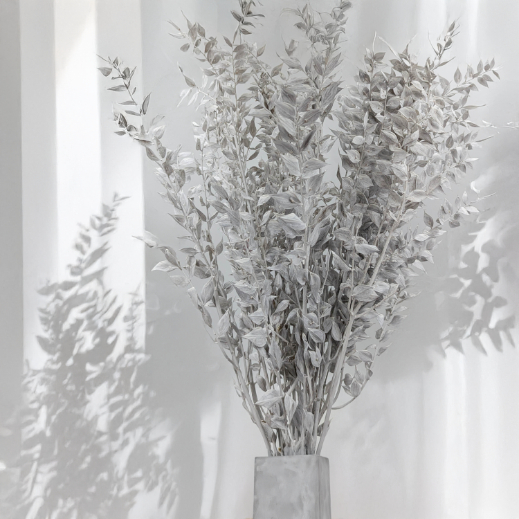 Ruskus bielony matowy 5.png