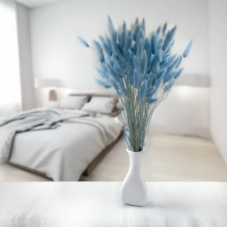 Lagurus błękitny 3.png