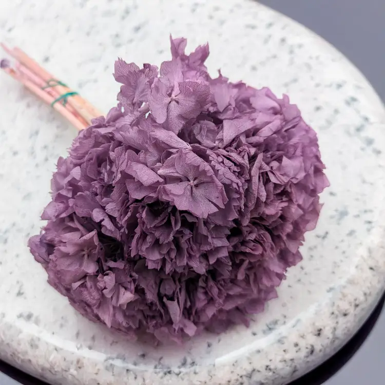 Hortensja stabilizowana fioletowa 3.png