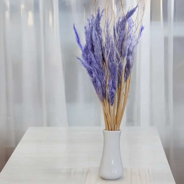 Mini pampas lawendowy 3.png