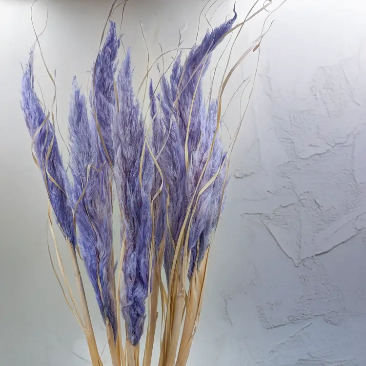 Mini pampas lawendowy 4.png