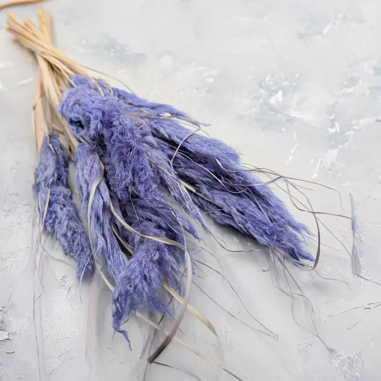 Mini pampas lawendowy.png