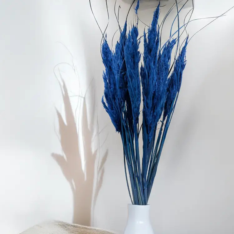 Mini pampas niebieski 4.png