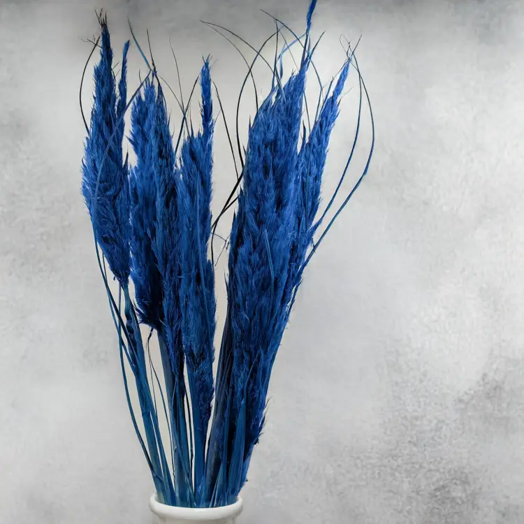 Mini pampas niebieski 5.png