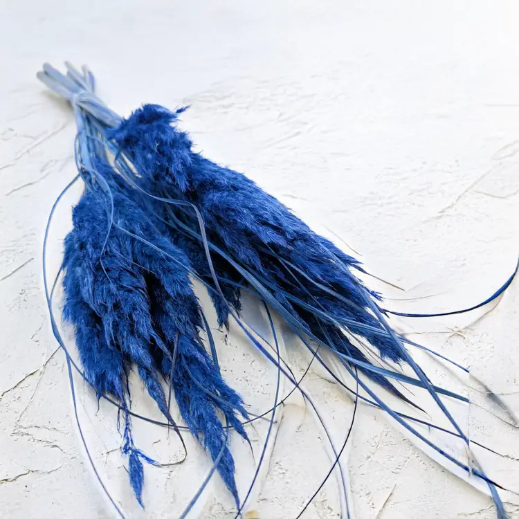 Mini pampas niebieski.png