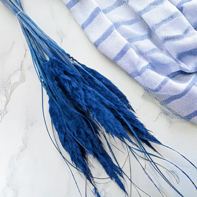 Mini pampas niebieski 1.png