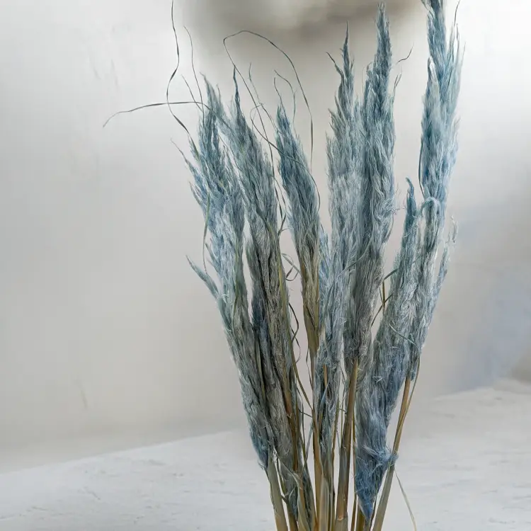 Mini pampas jasny niebieski 4.png