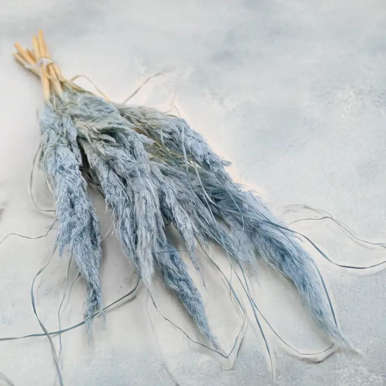 Mini pampas jasny niebieski.png