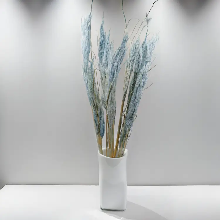 Mini pampas jasny niebieski 3.png